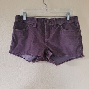 Carve Designs Purple Corduroy Cutoff Shorts
